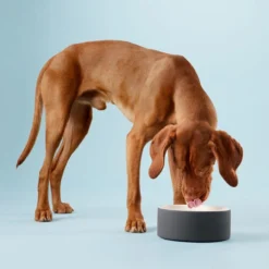 PAIKKA Cool Bowl -Günstiges Bellohaus Geschäft paikka cool bowl 217839 0500 none