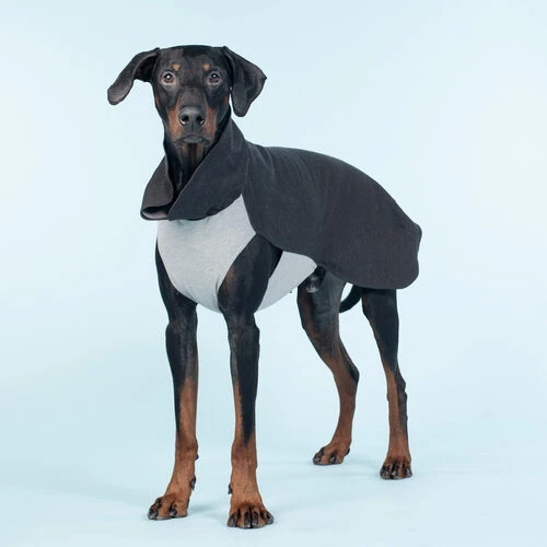 PAIKKA Recovery Winter Shirt 4 PAIKKA Recovery Winter Shirt - Image 2