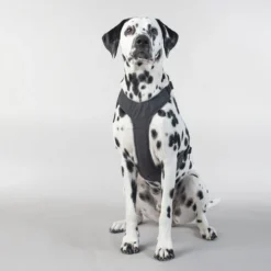 PAIKKA Visibility Harness -Günstiges Bellohaus Geschäft paikka visibility harness 217809 0500 none