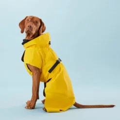 PAIKKA Visibility Raincoat Lite Yellow 10 PAIKKA Visibility Raincoat Lite Yellow -Günstiges Bellohaus Geschäft paikka visibility raincoat lite yellow 217726 0500 none