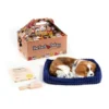 Perfect Petzzz Soft Cavalier King Charles -Günstiges Bellohaus Geschäft perfect petzzz soft cavalier king charles 151240 0500 none