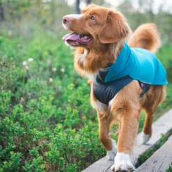 Pomppa Jumppa -Günstiges Bellohaus Geschäft pomppa jumppa 190573 0500 none