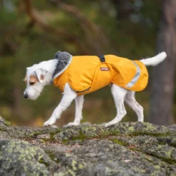 Pomppa Perus Hundejacke -Günstiges Bellohaus Geschäft pomppa perus hondenjas 215738 0500 none