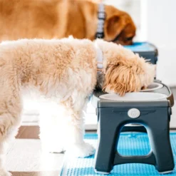 Popware Adjustable Height Pet Feeder -Günstiges Bellohaus Geschäft popware adjustable height pet feeder 164587 0500 none