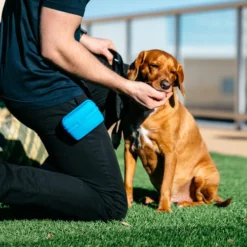 Popware Pooch Pouch Treatbag -Günstiges Bellohaus Geschäft popware pooch pouch treatbag 164698 0500 none