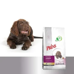 Prins ProCare Croque Junior Performance -Günstiges Bellohaus Geschäft prins procare croque junior performance 171295 0500 none