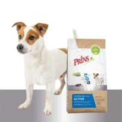 Prins ProCare Mini Super Active -Günstiges Bellohaus Geschäft prins procare mini super active 171802 0500 none