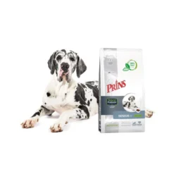 Prins ProCare Protection Senior Fit 8 Prins ProCare Protection Senior Fit -Günstiges Bellohaus Geschäft prins procare protection senior fit 171865 0500 none