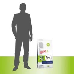 Prins ProCare Muskeln & Gelenke -Günstiges Bellohaus Geschäft prins procare spieren gewrichten 171985 0500 none