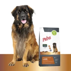 Prins Protection Croque Lamb Hypoallergenic 8 Prins Protection Croque Lamb Hypoallergenic -Günstiges Bellohaus Geschäft prins protection croque lamb hypoallergenic 172030 0500 none