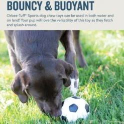 Planet Dog Orbee-Tuff Soccer Ball -Günstiges Bellohaus Geschäft prod 14590 203615 0500 none