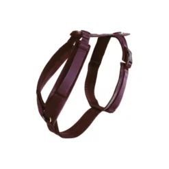 Kentucky Dog Harness Active Velvet -Günstiges Bellohaus Geschäft prod 15744 218988 0500 none