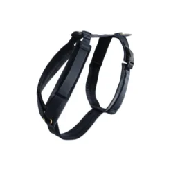 Kentucky Dog Harness Active Velvet -Günstiges Bellohaus Geschäft prod 15744 218993 0500 none