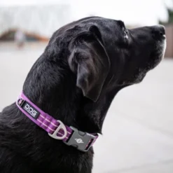 DOG Copenhagen Urban Style Halsband -Günstiges Bellohaus Geschäft prod 15937 220286 0500 none