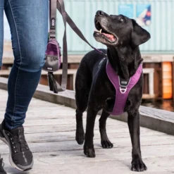 DOG Copenhagen Comfort Walk Pro Geschirr -Günstiges Bellohaus Geschäft prod 15938 220297 0500 none