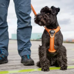 DOG Copenhagen Comfort Walk Air Geschirr -Günstiges Bellohaus Geschäft prod 15939 220308 0500 none