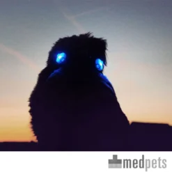 Curli Luumi -Günstiges Bellohaus Geschäft product curli luumi none 4 1497346293 87283