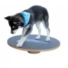 FitPAWS Wobble Board -Günstiges Bellohaus Geschäft product fitpaws wobble board none 4 1470905070 76051