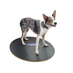 FitPAWS Wobble Board -Günstiges Bellohaus Geschäft product fitpaws wobble board none 4 1471260307 76246