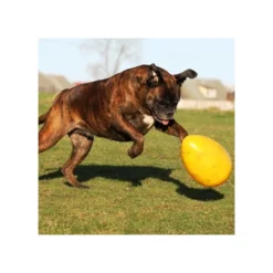 Jolly Egg -Günstiges Bellohaus Geschäft product jolly egg none 4 1496839893 86965