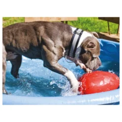 Jolly Egg -Günstiges Bellohaus Geschäft product jolly egg none 4 1496839894 86968