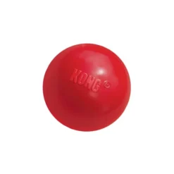 KONG Ball -Günstiges Bellohaus Geschäft product kong ball none 4 1466058813 69918