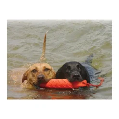 KONG Training Dummy -Günstiges Bellohaus Geschäft product kong training dummy none 4 1469627104 71971