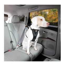 Kurgo Enhanced Tru-Fit Smart Harness 8 Kurgo Enhanced Tru-Fit Smart Harness -Günstiges Bellohaus Geschäft product kurgo tru fit smart harness none 4 1476952073 79204