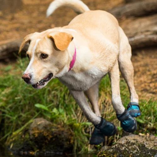 Ruffwear Grip Trex Boots - Image 9