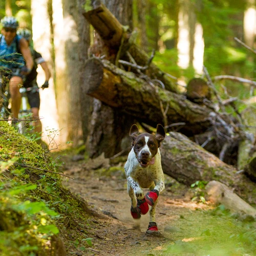 Ruffwear Grip Trex Boots - Image 11