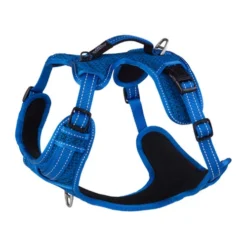 Rogz Explore Hundegeschirr