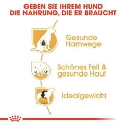 Royal Canin Bichon Frisé Adult - Hundefutter -Günstiges Bellohaus Geschäft royal canin bichon fris adult hondenvoer 137371 0500 none