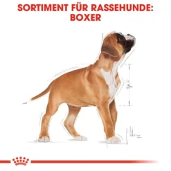 Royal Canin Boxer Puppy - Hundefutter -Günstiges Bellohaus Geschäft royal canin boxer puppy hondenvoer 137491 0500 none