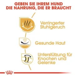 Royal Canin Bulldog Adult - Hundefutter -Günstiges Bellohaus Geschäft royal canin bulldog adult hondenvoer 137659 0500 none