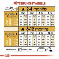 Royal Canin Bulldog Puppy - Hundefutter -Günstiges Bellohaus Geschäft royal canin bulldog puppy hondenvoer 137776 0500 none