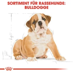 Royal Canin Bulldog Puppy - Hundefutter -Günstiges Bellohaus Geschäft royal canin bulldog puppy hondenvoer 137812 0500 none