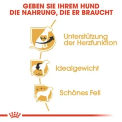 Royal Canin Cavalier King Charles Adult - Hundefutter -Günstiges Bellohaus Geschäft royal canin cavalier king charles adult hondenvoer 137869 0500 none