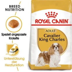Royal Canin Cavalier King Charles Adult - Hundefutter -Günstiges Bellohaus Geschäft royal canin cavalier king charles adult hondenvoer 137899 0500 none