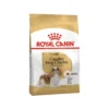 Royal Canin Cavalier King Charles Adult - Hundefutter 2 Royal Canin Cavalier King Charles Adult - Hundefutter -Günstiges Bellohaus Geschäft royal canin cavalier king charles adult hondenvoer 188073 0500 none