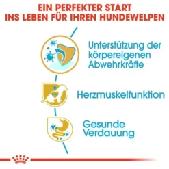 Royal Canin Cavalier King Charles Puppy - Hundefutter -Günstiges Bellohaus Geschäft royal canin cavalier king charles puppy hondenvoer 137923 0500 none