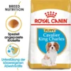 Royal Canin Cavalier King Charles Puppy - Hundefutter 2 Royal Canin Cavalier King Charles Puppy - Hundefutter -Günstiges Bellohaus Geschäft royal canin cavalier king charles puppy hondenvoer 142808 0500 none