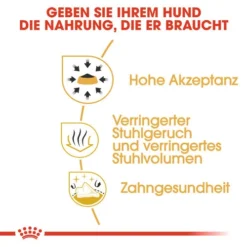 Royal Canin Chihuahua Adult - Hundefutter -Günstiges Bellohaus Geschäft royal canin chihuahua adult hondenvoer 137980 0500 none