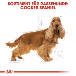Royal Canin Cocker Adult - Hundefutter -Günstiges Bellohaus Geschäft royal canin cocker adult hondenvoer 138145 0500 none