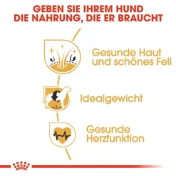 Royal Canin Cocker Adult - Hundefutter -Günstiges Bellohaus Geschäft royal canin cocker adult hondenvoer 138163 0500 none