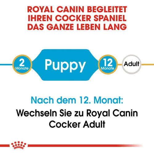 Royal Canin Cocker Puppy - Hundefutter 6 Royal Canin Cocker Puppy - Hundefutter - Image 5