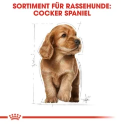 Royal Canin Cocker Puppy - Hundefutter 12 Royal Canin Cocker Puppy - Hundefutter -Günstiges Bellohaus Geschäft royal canin cocker puppy hondenvoer 138226 0500 none