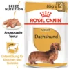Royal Canin Dachshund Adult Wet - Hundefutter -Günstiges Bellohaus Geschäft royal canin dachshund adult wet hondenvoer 138433 0500 none