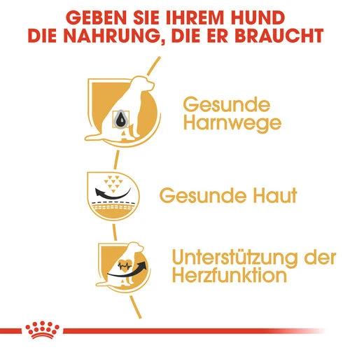 Royal Canin Dalmatian Adult - Hundefutter 4 Royal Canin Dalmatian Adult - Hundefutter - Image 2