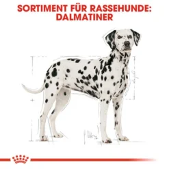 Royal Canin Dalmatian Adult - Hundefutter 12 Royal Canin Dalmatian Adult - Hundefutter -Günstiges Bellohaus Geschäft royal canin dalmatian adult hondenvoer 138499 0500 none