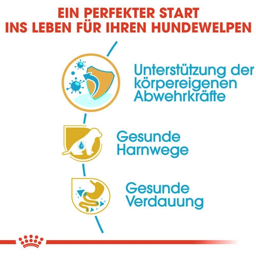 Royal Canin Dalmatian Puppy - Hundefutter 4 Royal Canin Dalmatian Puppy - Hundefutter - Image 2